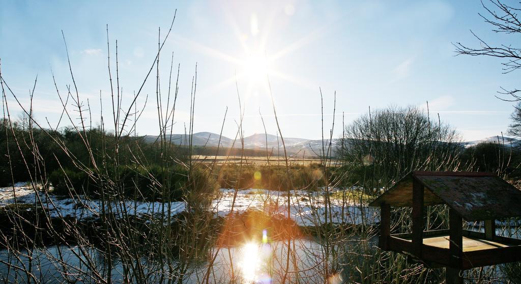 Feughside Guesthouse Banchory Ruang foto