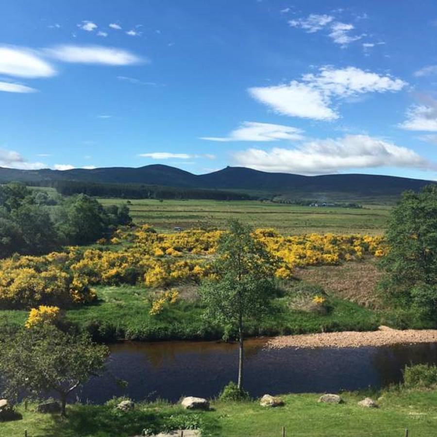 Feughside Guesthouse Banchory Bagian luar foto